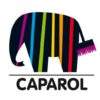 Caparol OptiSilan TiefGrund 10L Grundierung – Image 4