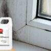 ALTAX Fungizid 1L/5L Bekämpft Schimmelpilze vor Wänden Zäunen Terrassen Fenster
