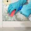 ALTAX Fungizid 1L/5L Bekämpft Schimmelpilze vor Wänden Zäunen Terrassen Fenster – Bild 4