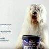DULUX ACRYL MATT Weiß Wände Innen Latex farbe 3L 5L 10L – Image 5